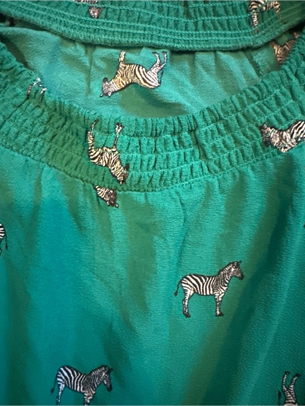 Teal Zebra Print Elastic Waist Skirt